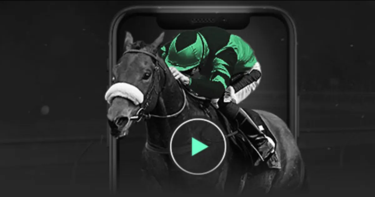 揭秘多纳鲁,马倒地真相,法尔克强调,bet365,bet365体育,bet365官网,bet365网址